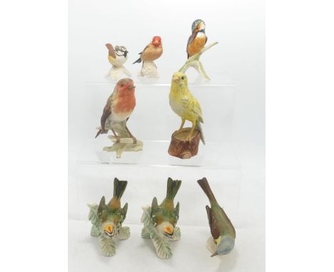 A collection of Matt Goebel Bird Figures including Yellow Wagtail, Fire Crest, Robin, Canary, Kingfisher, Wren etc (8) 