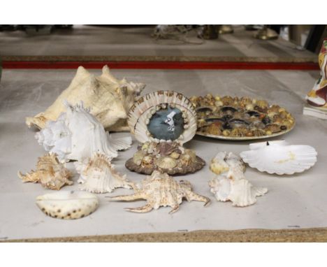 A QUANTITY OF SHELLS AND SHELL DECORATED ITEMS