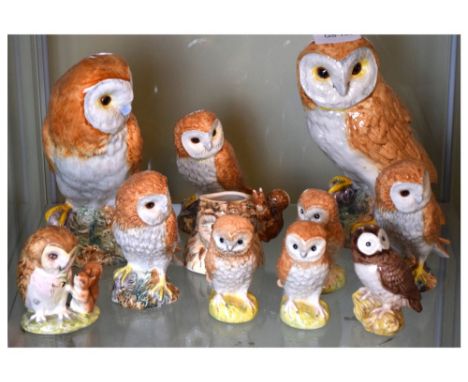 Nine Beswick barn owl figures, together with two Beswick Beatrix Potter 'Old Mr Brown' figure and character jug, 20cm and sma
