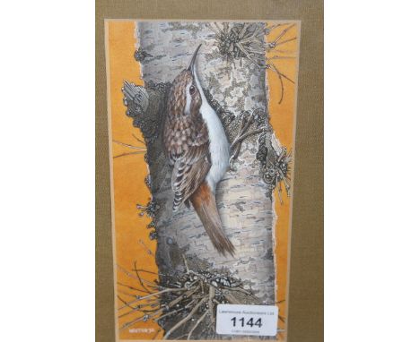 Michael Warren, watercolour study of a tree creeper, signed, dated 1972, 20 x 10cm, together with a lithograph, Montague's Ha