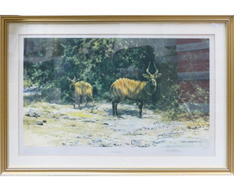 David Shepherd artist signed limited edition print African Afternoon: Artist endorsed print number 97/850 measures 48cm x 79.