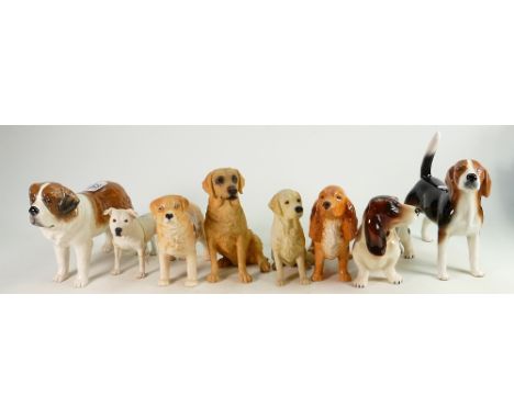 A large collection of Melba Pottery Ware &amp; Similar Dogs: height of tallest 18cm(8) 