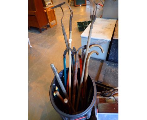 Collection of gardening tools