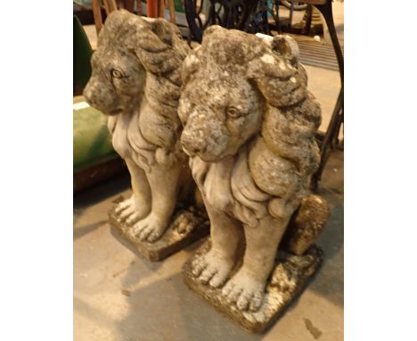 Pair of stone gate post tops in the form of seated lions H: 45 cm