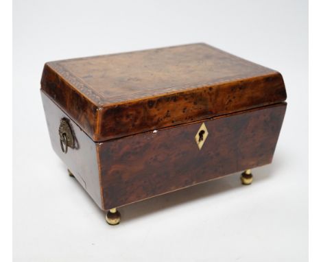 A Regency banded burr yew tea caddy, Ivory escutcheon, 20cm wide CITES Submission reference 4NYKHDBU