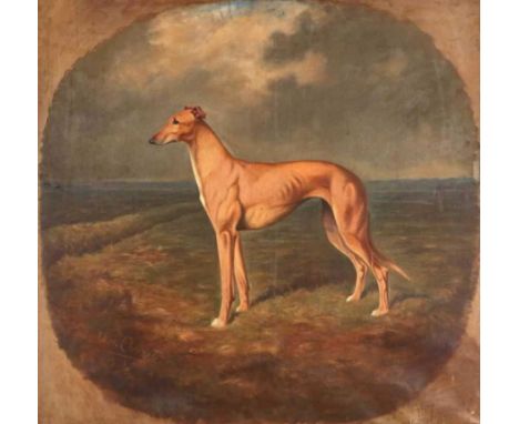 Lilian Cheviot (1876-1936)Portrait of Shortcoming, winner of the Waterloo Cup 1921 standing in an extensive landscapeSigned a