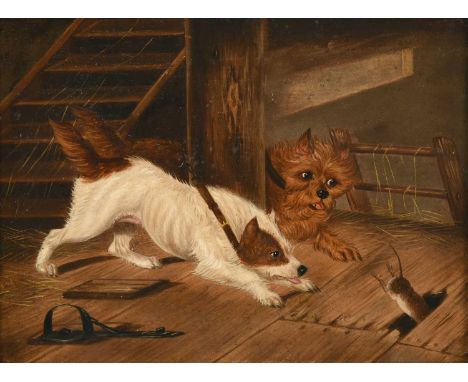 Circle of Edward Armfield (18717-1897)Terrier ratting in a stable interiorOil on board, together with five further companion 