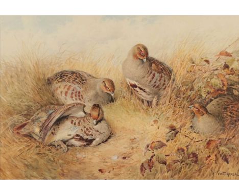 William Woodhouse (1857-1939)A covey of PartridgeSigned, mixed media, 34.5cm by 50cmCondition report: In an overall good stat