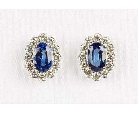 A pair of white gold, sapphire and diamond oval cluster earstuds, each claw set with an oval cut sapphire within a surround o