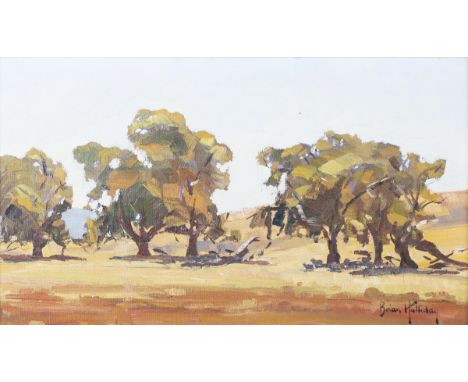 Brian Halliday - Landscape with Trees, probably Wanaka, New Zealand, 20th century oil on canvas-board, signed, 21cm x 36cm, w