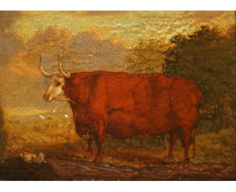 William Gwynn - 'The Great Herefordshire Ox!' (Prize Hereford Bull), early 19th century oil on panel, indistinctly inscribed 