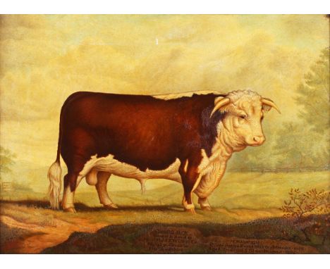 Edward Algernon Douglas - 'Spring Jack' (Prize Hereford Bull), 19th century oil on canvas, signed, titled and dated 1892 rect
