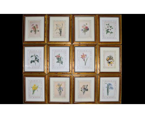 A Large Collection Of Limited Edition Botanical Prints 'The Fairest Flowers Of Pierre-Joseph Redoute By The Natural History M