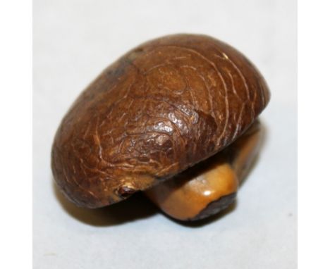 A 19TH/20TH CENTURY JAPANESE CARVED WOOD NETSUKE OF A TOADSTOOL &amp; AN ACORN, 1.75in wide at widest point