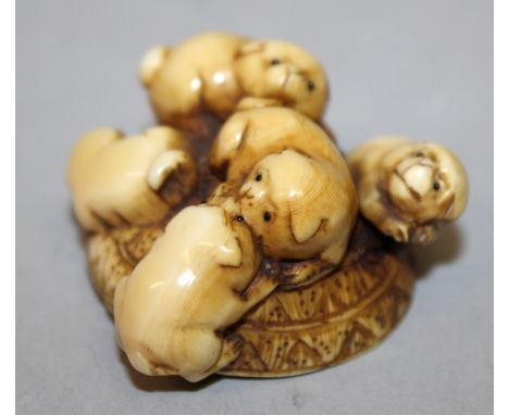 A GOOD QUALITY 19TH CENTURY SIGNED JAPANESE IVORY NETSUKE OF A GROUP OF PUPS, clambering on a hat, 1.6in wide at widest point