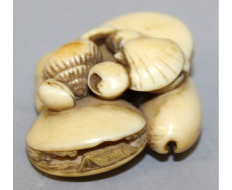 A GOOD QUALITY JAPANESE MEIJI PERIOD IVORY NETSUKE OF A GROUP OF SEASHELLS, two of the clams opening to reveal the ‘Clam’s Dr