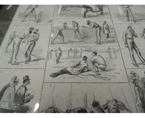 Framed print. Australia v. England at Lord's, July 21, 22, and 23, 1884. Presumed for the Graphic periodical. 