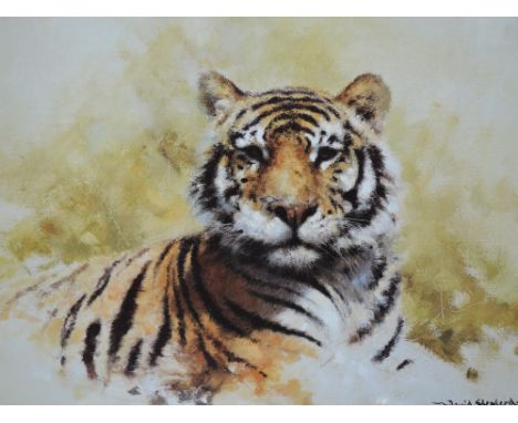 A Limited Edition print after David Shepherd, Tiger sketch, signed, 7.5in x 10.5