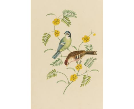 Birds.- Brookshaw (George) Six Birds, accurately drawn and coloured after nature, with full instructions for the young artist