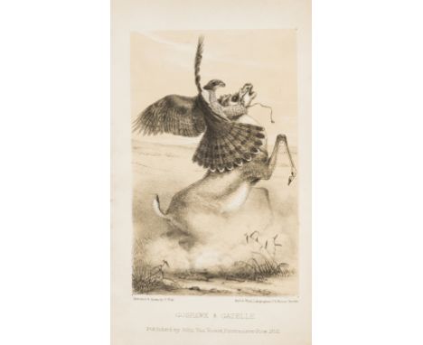 Burton (Sir Richard Francis) Falconry in the Valley of the Indus, first edition, tinted lithographed frontispiece and 3 plate