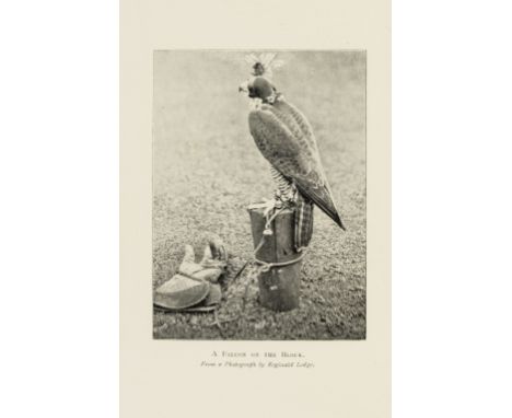 Harting (James Edmund) Hints on the Management of Hawks, second edition, frontispiece, 10 plates, illustrations, errata slip,