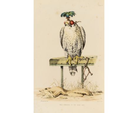 Salvin (Francis Henry) and William Brodrick. Falconry in the British Isles, first edition, Brodrick's wife's copy, 24 hand-co