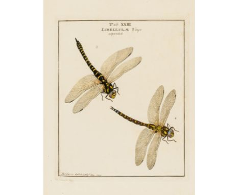 Insects.- Harris (Moses) An Exposition of English Insects, second edition, first issue, engraved title and key plate, hand-co