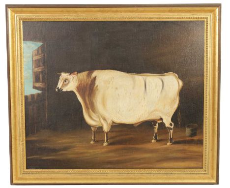 19TH CENTURY BRITISH SCHOOL OIL ON CANVAS - PORTRAIT OF A PRIZE BULL in a stable setting - in gilt moulded frame.75cm high 91
