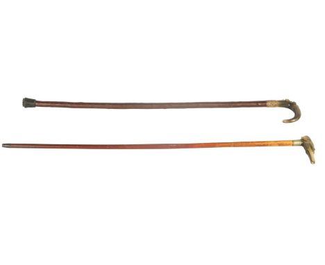 TWO 19TH CENTURY CARVED HORN-HANDLED WALKING STICKS, one modelled as a dogs head with glass eyes on malacca cane, the other h