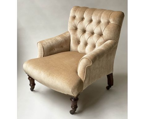 SLIPPER ARMCHAIR, Victorian walnut in champagne plush velvet with deep button upholstered back, 70cm W. 