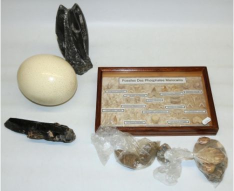 Collection of fossils and minerals including a cased set 'Fossiles Des Phosphates Marocains', arrow heads, etc. and an ostric