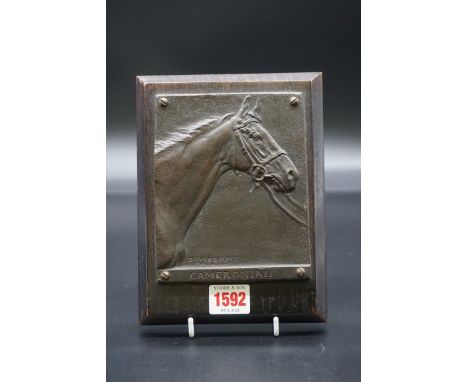 D Webb,&nbsp;a bronze relief plaque of 'Cameronian', signed and titled, 14 x 11.5cm, on oak mount. 