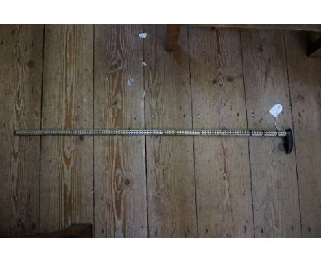 A vertebrae stick. 