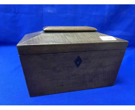 19TH CENTURY MAHOGANY SARCOPHAGUS SHAPED TEA CADDY 