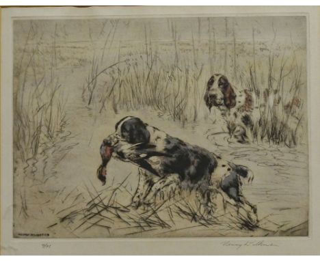 Henry Wilkinson - pair of gun dogs one retrieving a duck, limited edition coloured engraving, numbered 7/75, signed in pencil