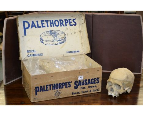 A skeleton in a vintage Palethorpes' sausage box.