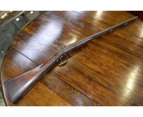 A double barrel percussion hammer action side by side shot gun 