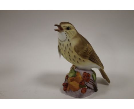 A MATT FINISH ROYAL WORCESTER THRUSH FIGURE