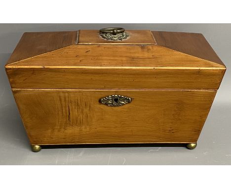 Georgian yew wood veneer tea caddy 30cm by 15cm Ht 17cm