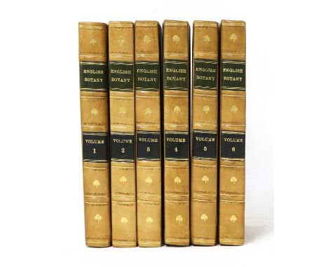SOWERBY, James: English Botany, Volumes: 1-6. J Davis, 1790-97, Illustrated with 432 hand coloured &amp; numbered plates, Ver