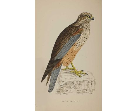 Morris, F O: A History of British Birds. In eight volumes. Groombridge, nd, C1880, complete with 358 colour plates. Publisher
