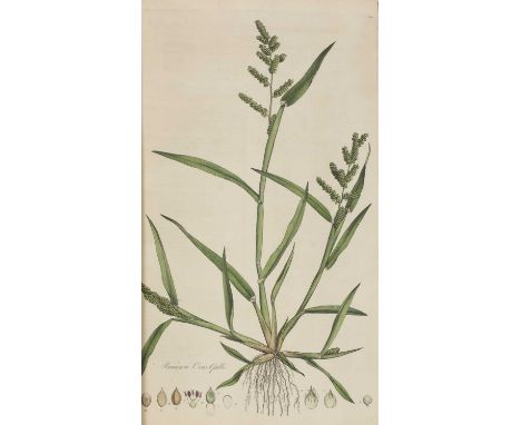 CURTIS, William: Flora Londinensis: or Plates and Descriptions of such plants as grow wild in the Environs of London. One vol