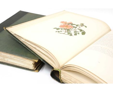 Willmott, Ellen; Drawings by Alfred Parsons: The Genus Rosa. In 2 volumes. John Murray, 1914. Folio, with 132 chromolithograp