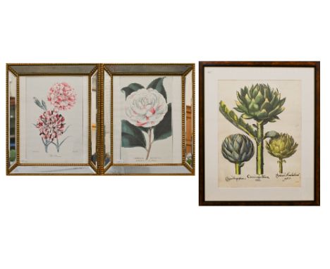 Two botanical prints in mirrored frames to/v decorative print of cardoon/globe artichoke, 54 x 41 cm and one of a parrot (4)