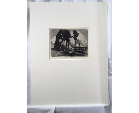 William Lee Hankey (1869-1952) etching, landscape with pines, signed, plate 15 x 19cm, and another of a Continental town squa