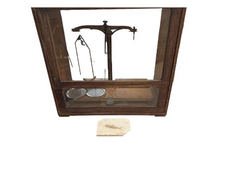 Set of Reynolds & Branson balance scales, in glazed wooden case, together with a fossilised fish, case H47cm