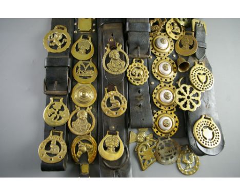 SHIRE/HEAVY HORSE BRASSES - a collection of thirty vintage and later on martingales and harness strapwork with some loose, to
