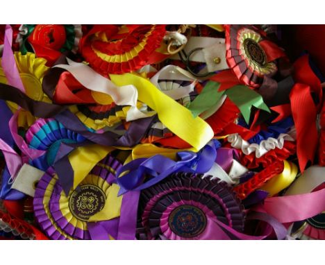 SHIRE HORSE SHOW ROSETTES - a large quantity within a vintage suitcase, mostly 1990s and 2000s dates, various societies, show