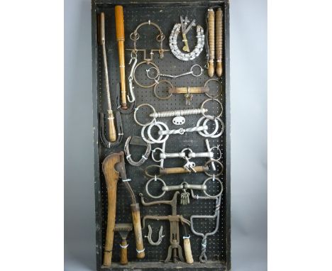 SHIRE/HEAVY HORSE INTEREST - a 4ft display board containing various harness and mouth bits, farrier's tools and horseshoes, a