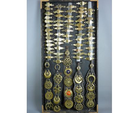 SHIRE/HEAVY HORSE BRASSWARE - a 4ft display board housing an excellent collection of maker's hame plates, sixty one in all, p